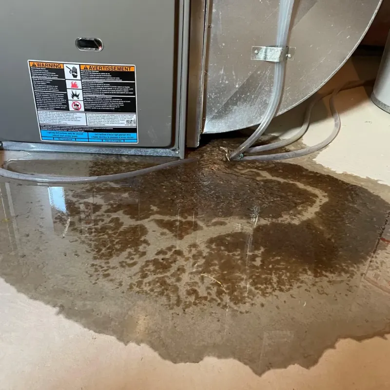 Appliance Leak Cleanup in Jackson County, WV