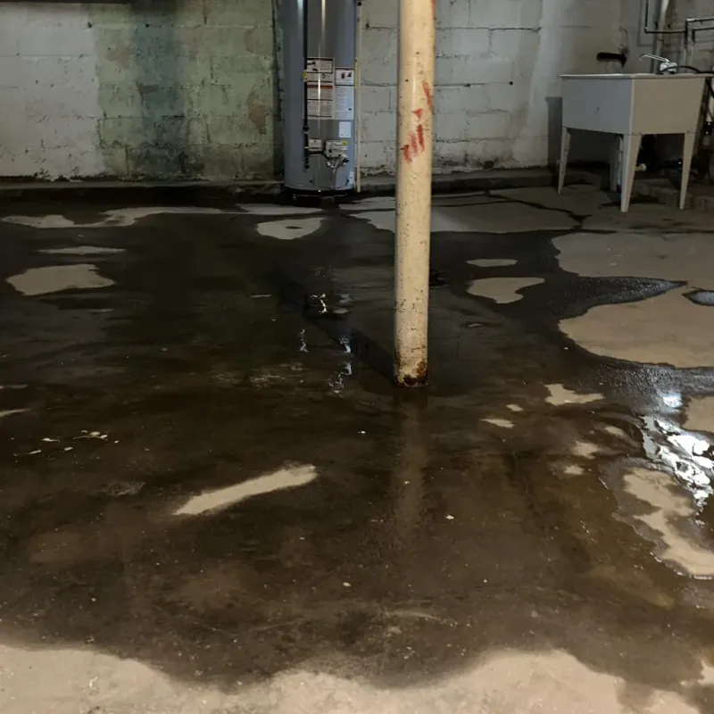 Emergency Water Extraction And Removal in Jackson County, WV